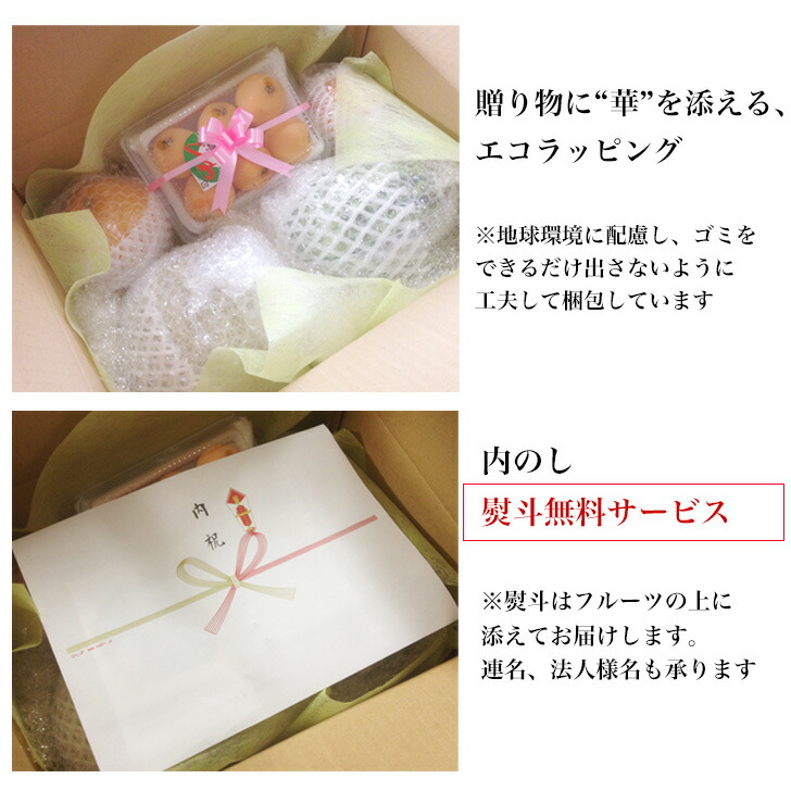 果物フルーツセット梅内祝誕生日祝い御礼お供えメッセージカードギフト送料無料