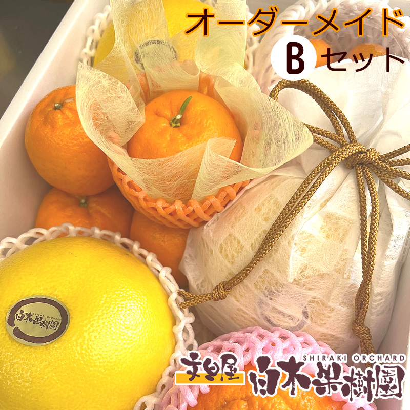 数種類の旬の柑橘やフルーツ詰め合わせ 10％OFF 最新号掲載アイテム 白木果樹園旬のオーダーメイドフルーツ詰め合わせ