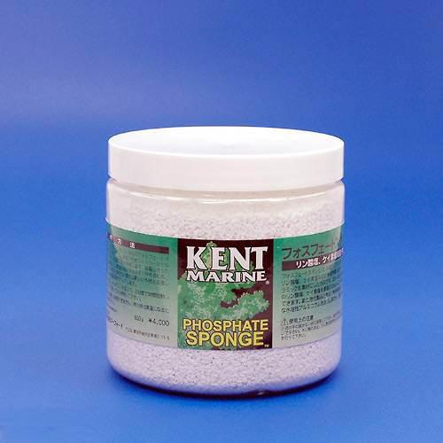 第1位獲得 品揃え豊富で ＫＥＮＴ フォスフェートスポンジ ５４４ｇ 海水用 淡水 関東当日便