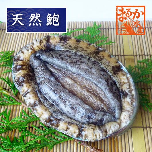 お刺身 ステーキ 最高の品質 バター焼などに パーティを彩るご馳走や 身の柔らかい赤あわびです 天然赤あわび １枚 メガイアワビ 180ｇ～220ｇ Mサイズ あわび