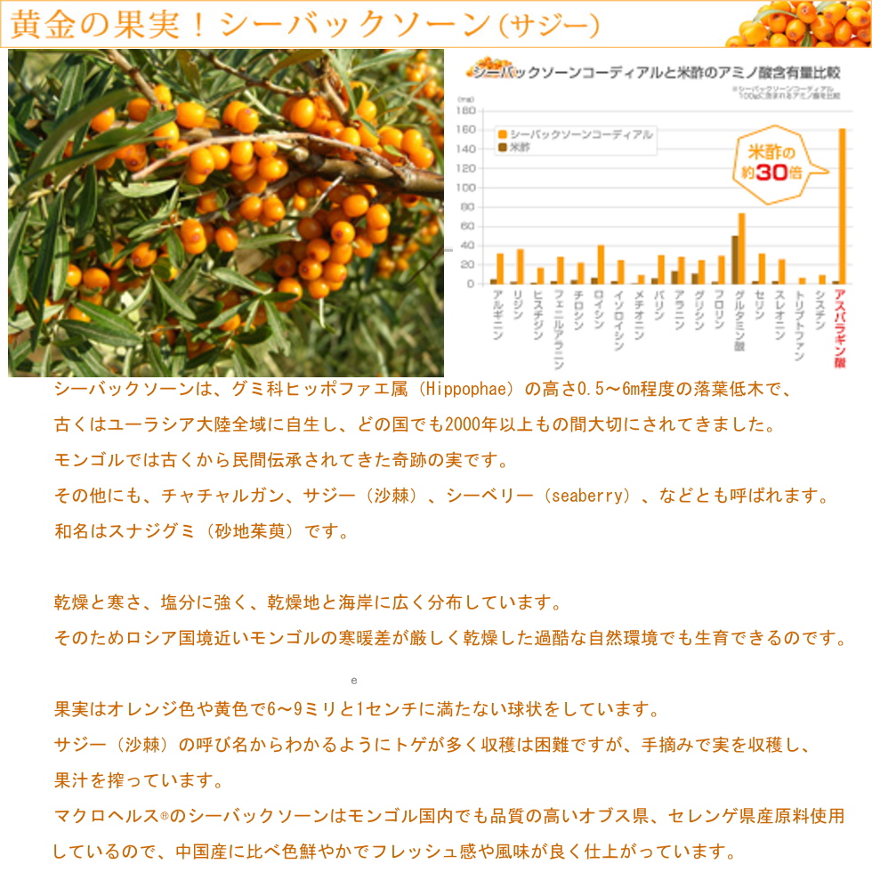 100%オーガニックシーバックソーンジュース375ml